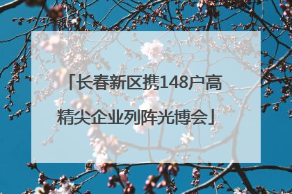 长春新区携148户高精尖企业列阵光博会