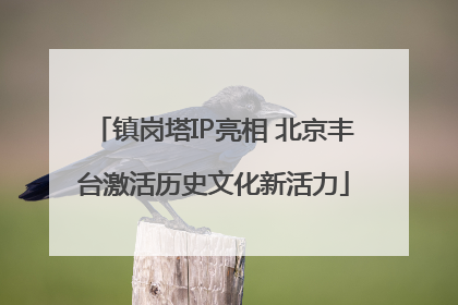 镇岗塔IP亮相 北京丰台激活历史文化新活力