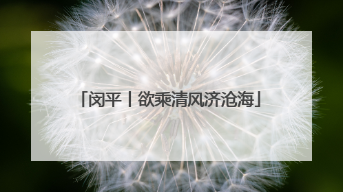 闵平丨欲乘清风济沧海