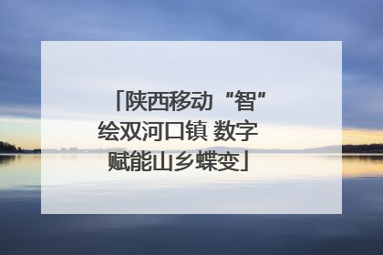陕西移动“智”绘双河口镇 数字赋能山乡蝶变