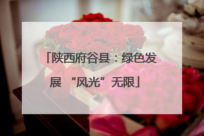 陕西府谷县：绿色发展 “风光”无限