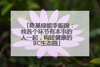 隆基绿能李振国：找各个环节有本事的人一起，构建健康的BC生态圈
