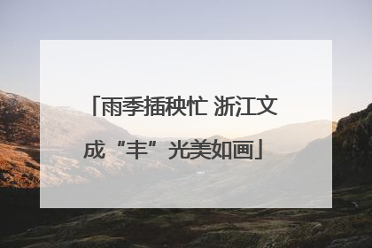 雨季插秧忙 浙江文成“丰”光美如画