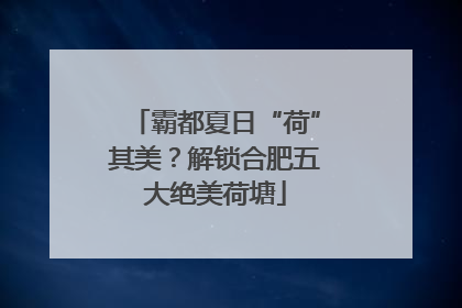 霸都夏日“荷”其美？解锁合肥五大绝美荷塘