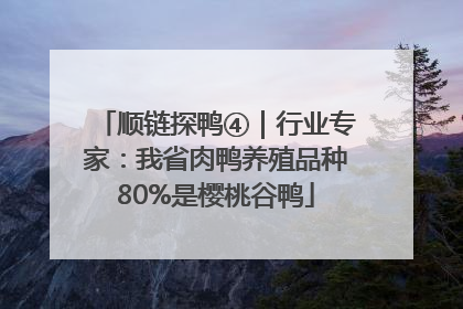 顺链探鸭④｜行业专家：我省肉鸭养殖品种80%是樱桃谷鸭