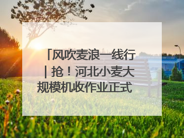 风吹麦浪一线行｜抢！河北小麦大规模机收作业正式拉开帷幕