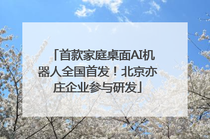 首款家庭桌面AI机器人全国首发！北京亦庄企业参与研发