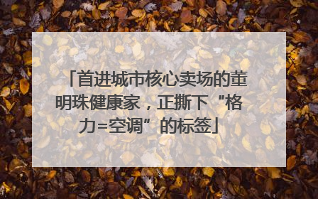 首进城市核心卖场的董明珠健康家，正撕下“格力=空调”的标签