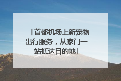 首都机场上新宠物出行服务，从家门一站抵达目的地