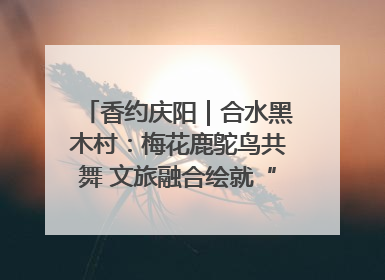 香约庆阳｜合水黑木村：梅花鹿鸵鸟共舞 文旅融合绘就“诗与远方”