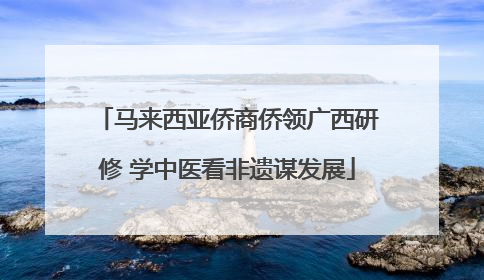 马来西亚侨商侨领广西研修 学中医看非遗谋发展