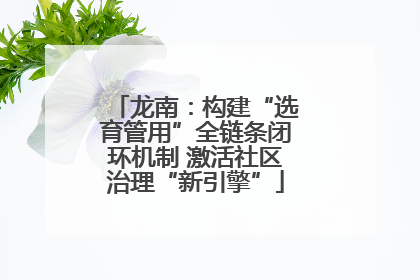 龙南：构建“选育管用”全链条闭环机制 激活社区治理“新引擎”