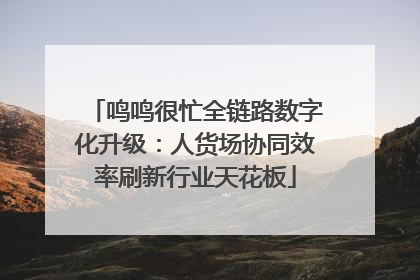 鸣鸣很忙全链路数字化升级：人货场协同效率刷新行业天花板
