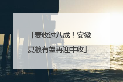麦收过八成！安徽夏粮有望再迎丰收