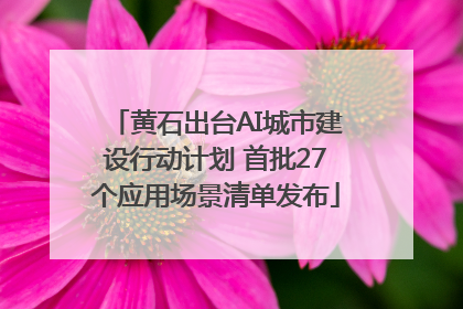 黄石出台AI城市建设行动计划 首批27个应用场景清单发布