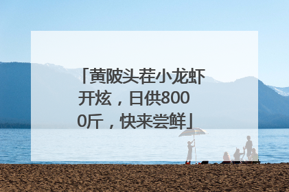 黄陂头茬小龙虾开炫，日供8000斤，快来尝鲜
