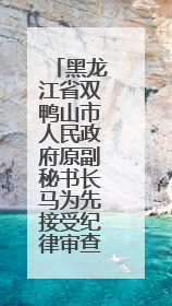 黑龙江省双鸭山市人民政府原副秘书长马为先接受纪律审查和监察调查