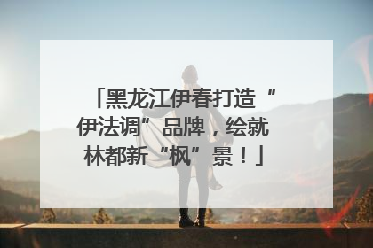 黑龙江伊春打造“伊法调”品牌，绘就林都新“枫”景！