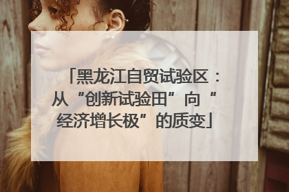 黑龙江自贸试验区：从“创新试验田”向“经济增长极”的质变