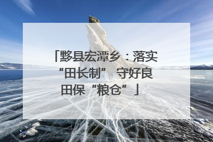 黟县宏潭乡：落实“田长制” 守好良田保“粮仓”