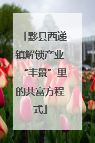 黟县西递镇解锁产业“丰景”里的共富方程式