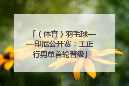 （体育）羽毛球——印尼公开赛：王正行男单首轮晋级