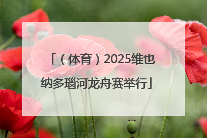 （体育）2025维也纳多瑙河龙舟赛举行