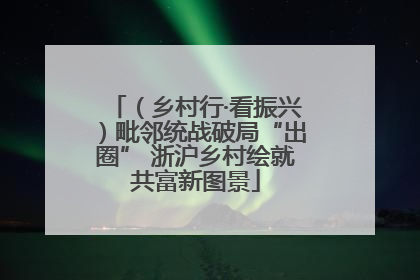 （乡村行·看振兴）毗邻统战破局“出圈” 浙沪乡村绘就共富新图景