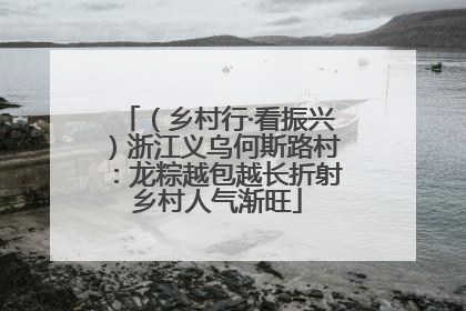 （乡村行·看振兴）浙江义乌何斯路村：龙粽越包越长折射乡村人气渐旺