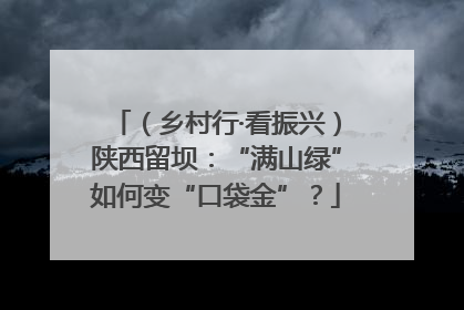 （乡村行·看振兴）陕西留坝：“满山绿”如何变“口袋金”？
