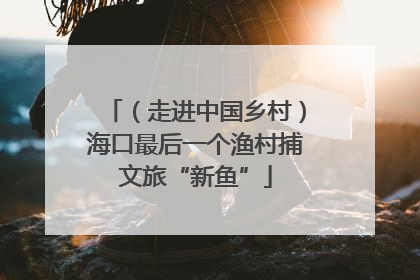 （走进中国乡村）海口最后一个渔村捕文旅“新鱼”