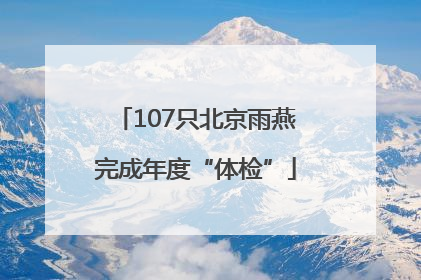 107只北京雨燕完成年度“体检”