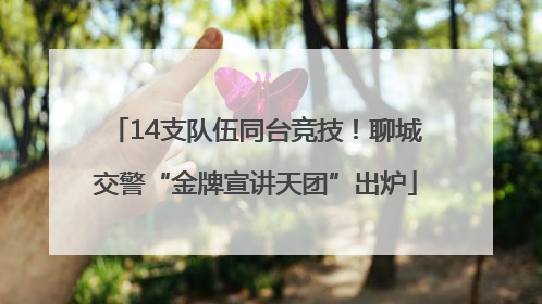 14支队伍同台竞技！聊城交警“金牌宣讲天团”出炉