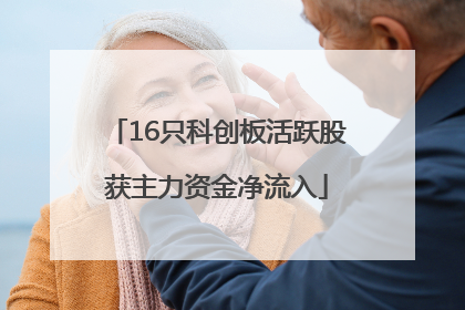 16只科创板活跃股获主力资金净流入