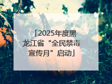 2025年度黑龙江省“全民禁毒宣传月”启动