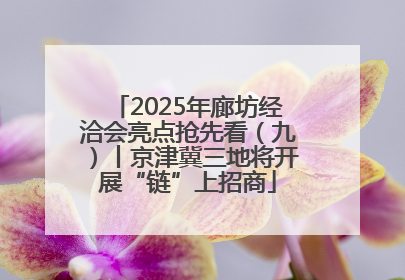 2025年廊坊经洽会亮点抢先看（九）丨京津冀三地将开展“链”上招商