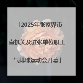 2025年张家界市直机关及驻张单位职工气排球运动会开幕