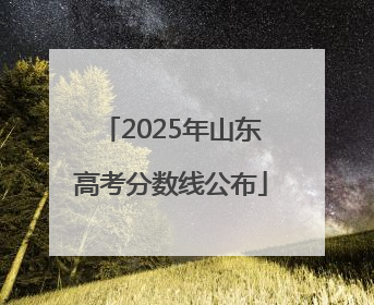 2025年山东高考分数线公布