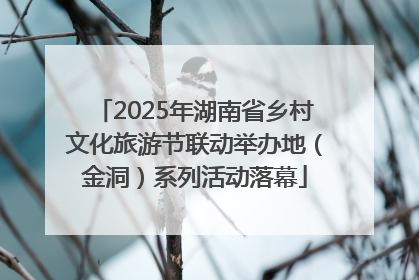 2025年湖南省乡村文化旅游节联动举办地（金洞）系列活动落幕