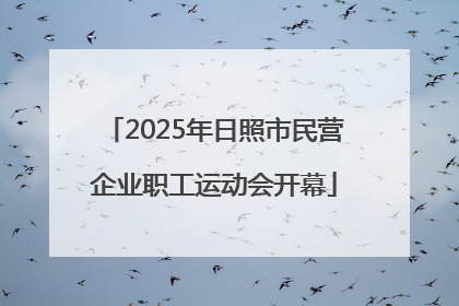2025年日照市民营企业职工运动会开幕