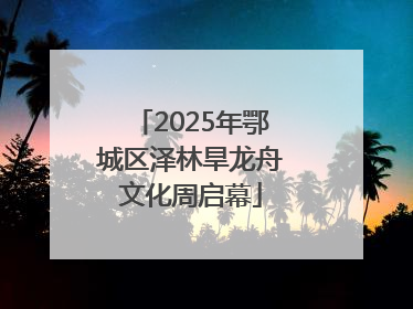 2025年鄂城区泽林旱龙舟文化周启幕