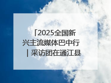 2025全国新兴主流媒体巴中行｜采访团在通江县瞻仰全国最大红军烈士陵园