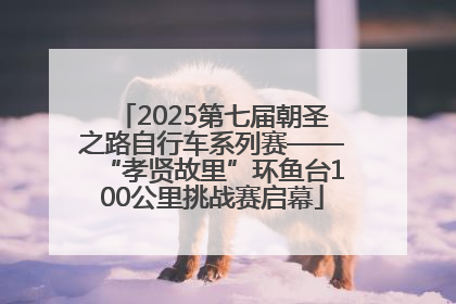 2025第七届朝圣之路自行车系列赛——“孝贤故里”环鱼台100公里挑战赛启幕