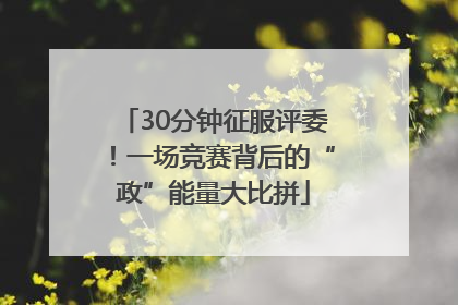 30分钟征服评委！一场竞赛背后的“政”能量大比拼