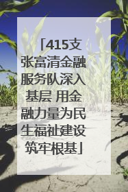 415支张富清金融服务队深入基层 用金融力量为民生福祉建设筑牢根基