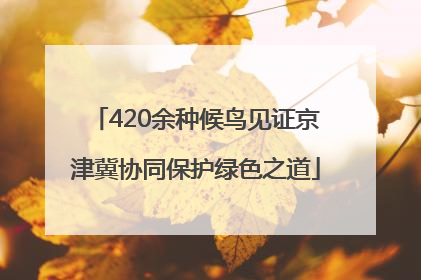 420余种候鸟见证京津冀协同保护绿色之道
