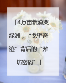 4万亩荒漠变绿洲，“戈壁奇迹”背后的“潍坊密码”