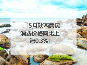5月陕西居民消费价格同比上涨0.3%