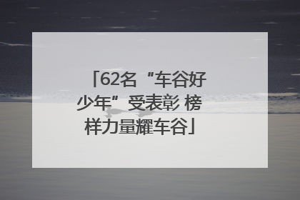 62名“车谷好少年”受表彰 榜样力量耀车谷