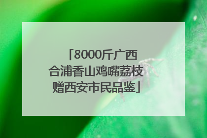 8000斤广西合浦香山鸡嘴荔枝赠西安市民品鉴